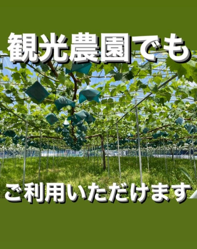 株式会社BSK | 世界一きれいな仮設トイレ「快適トイレ」をお探しならBSK